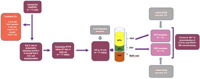Evaluation of Platelet-Rich Plasma by means of PRGF®-Endoret® protocol in leukemia cats: PDGF-BB and TGF-ß1 valuation